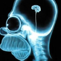 5 Signs Your Trainer Needs a C.A.T Scan - Agatsu Fitness