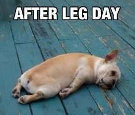 Top 4 Sore Muscle Treatments - Agatsu Fitness