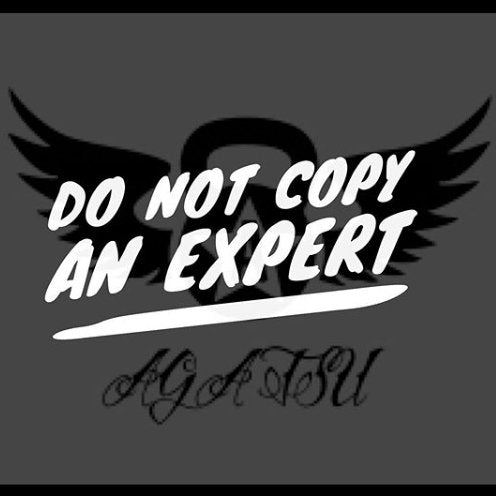 Don't Copy an Expert - Agatsu Fitness