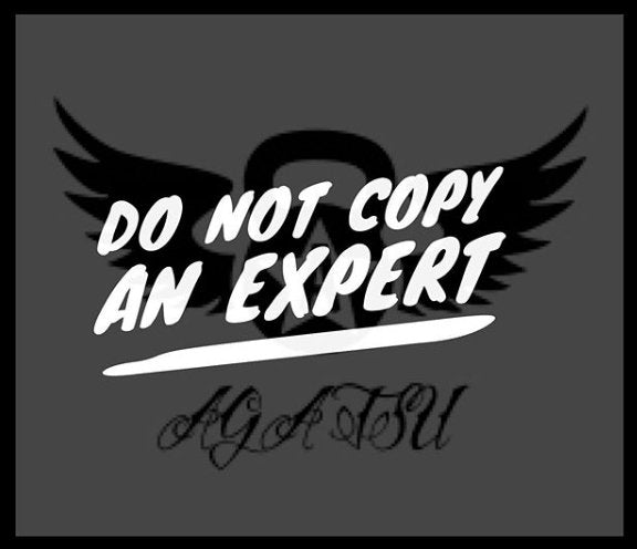 Don't Copy an Expert - Agatsu Fitness