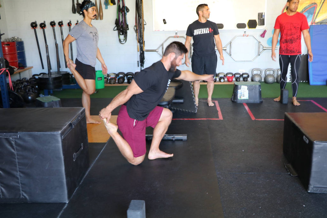 5 Day Mobility & Movement Intensive - April 3-6